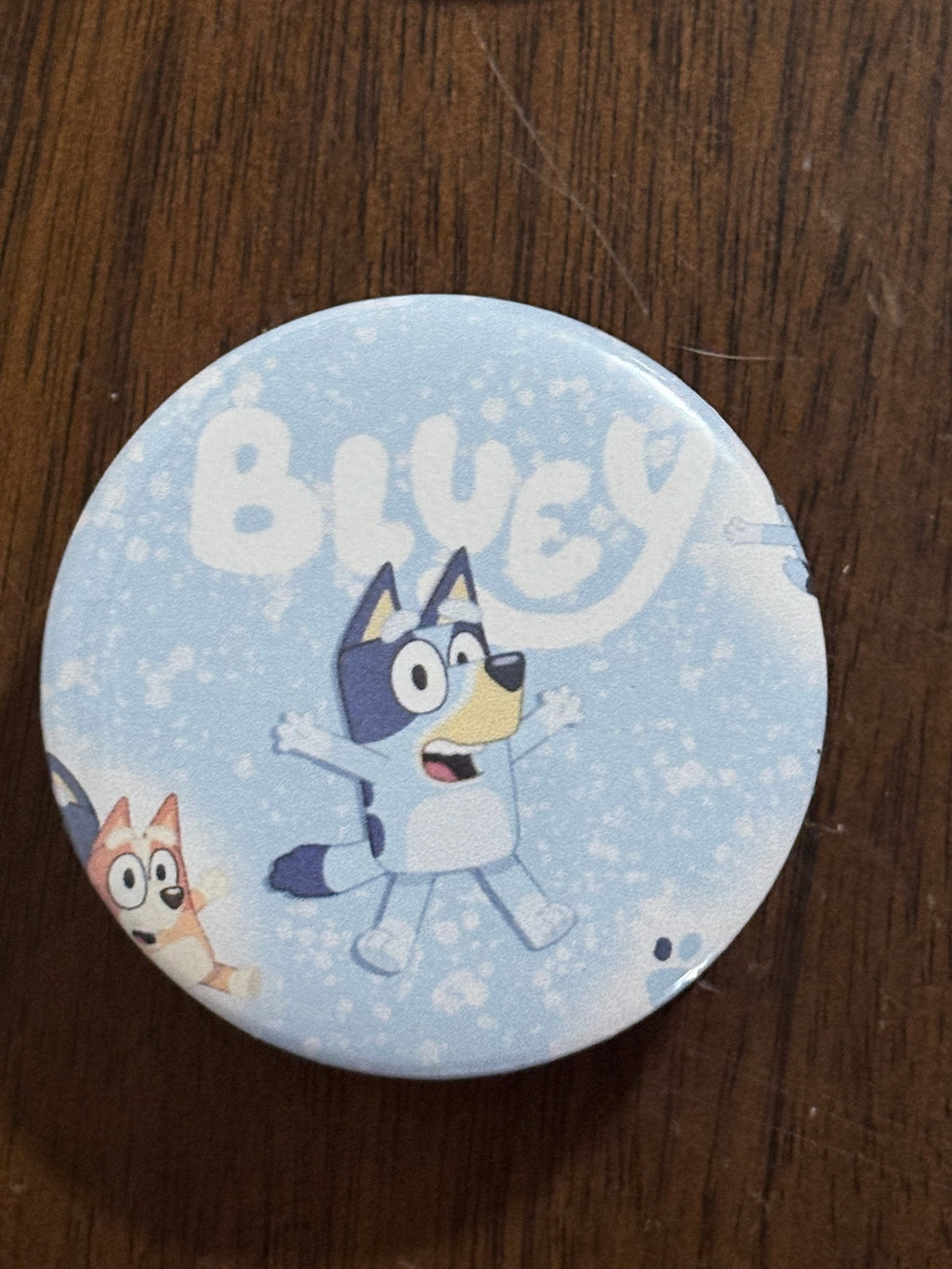 Bluey theme fridge magnets