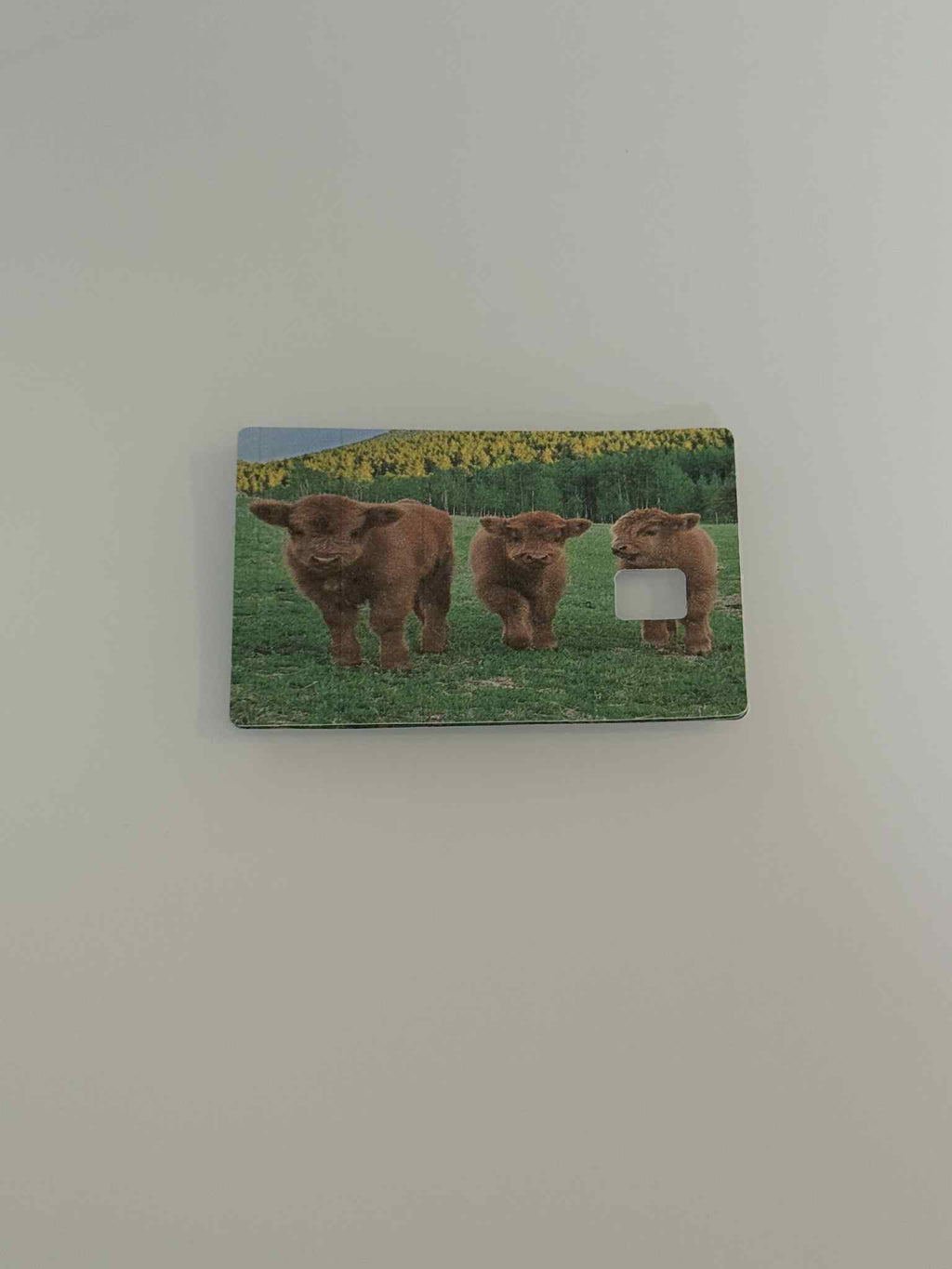 Animal Credit Card Stickers