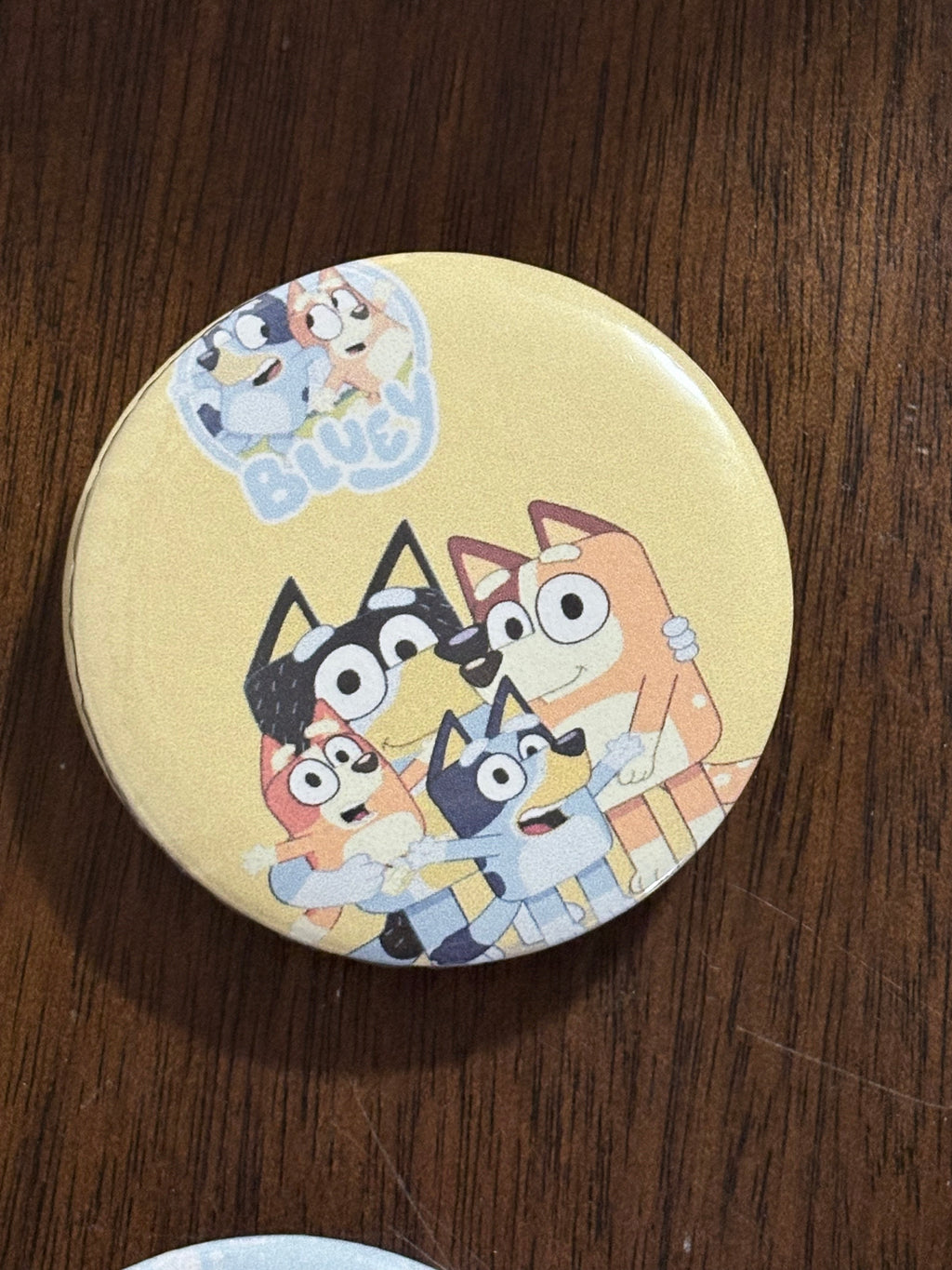 Bluey theme fridge magnets