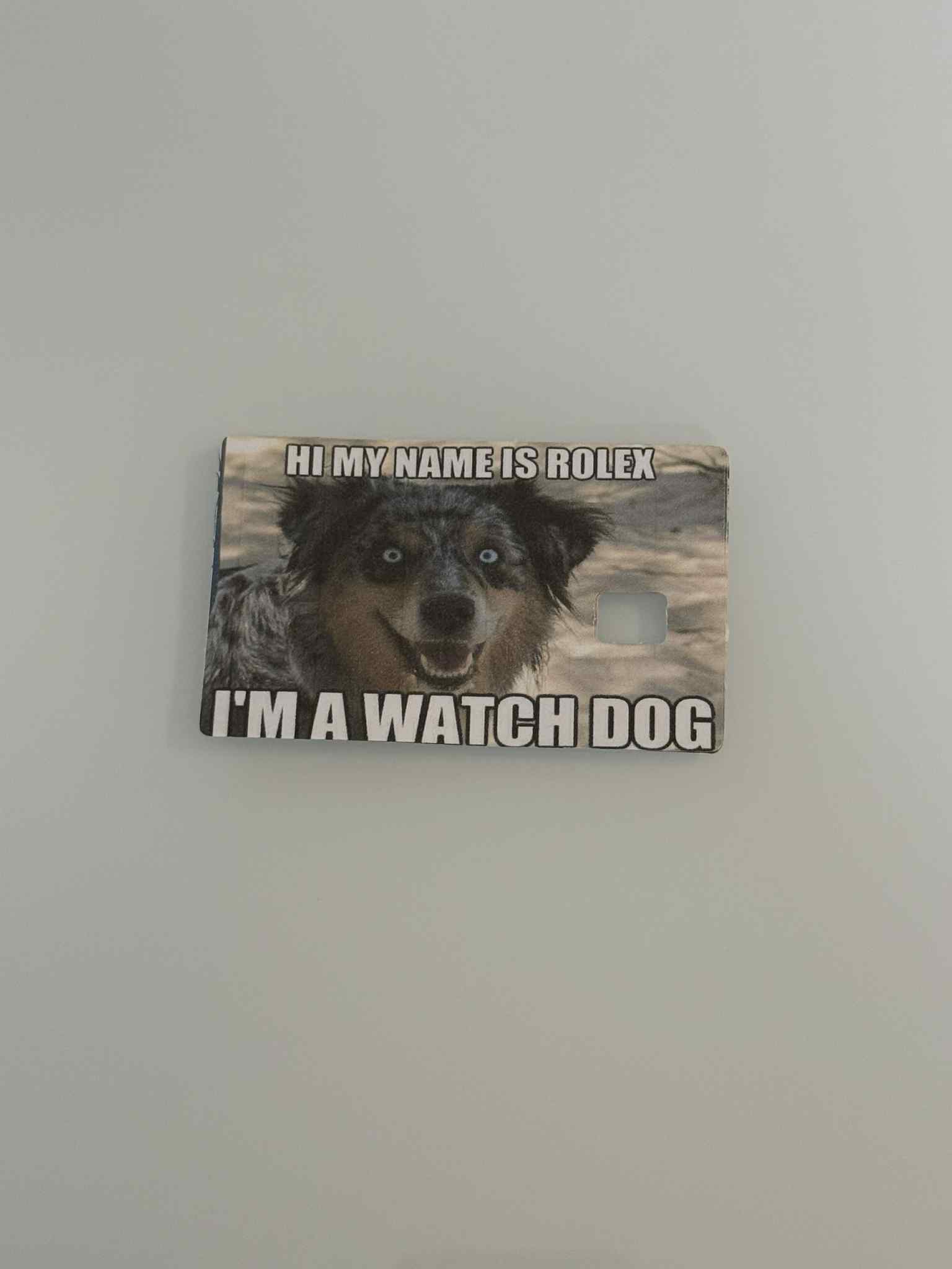 Animal Credit Card Stickers