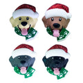 Dog with Santa Hat Add On