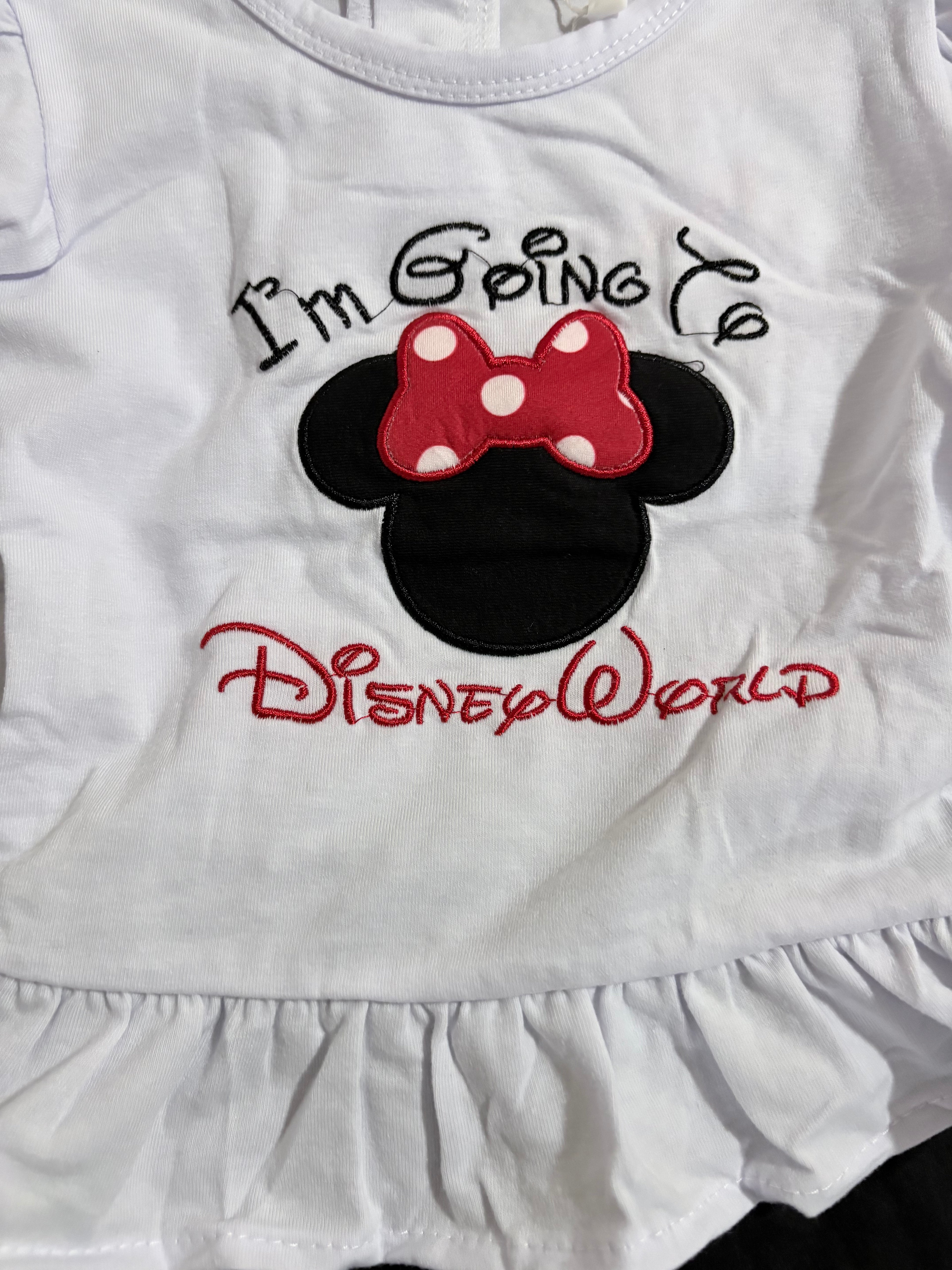 I'm going to Disney World