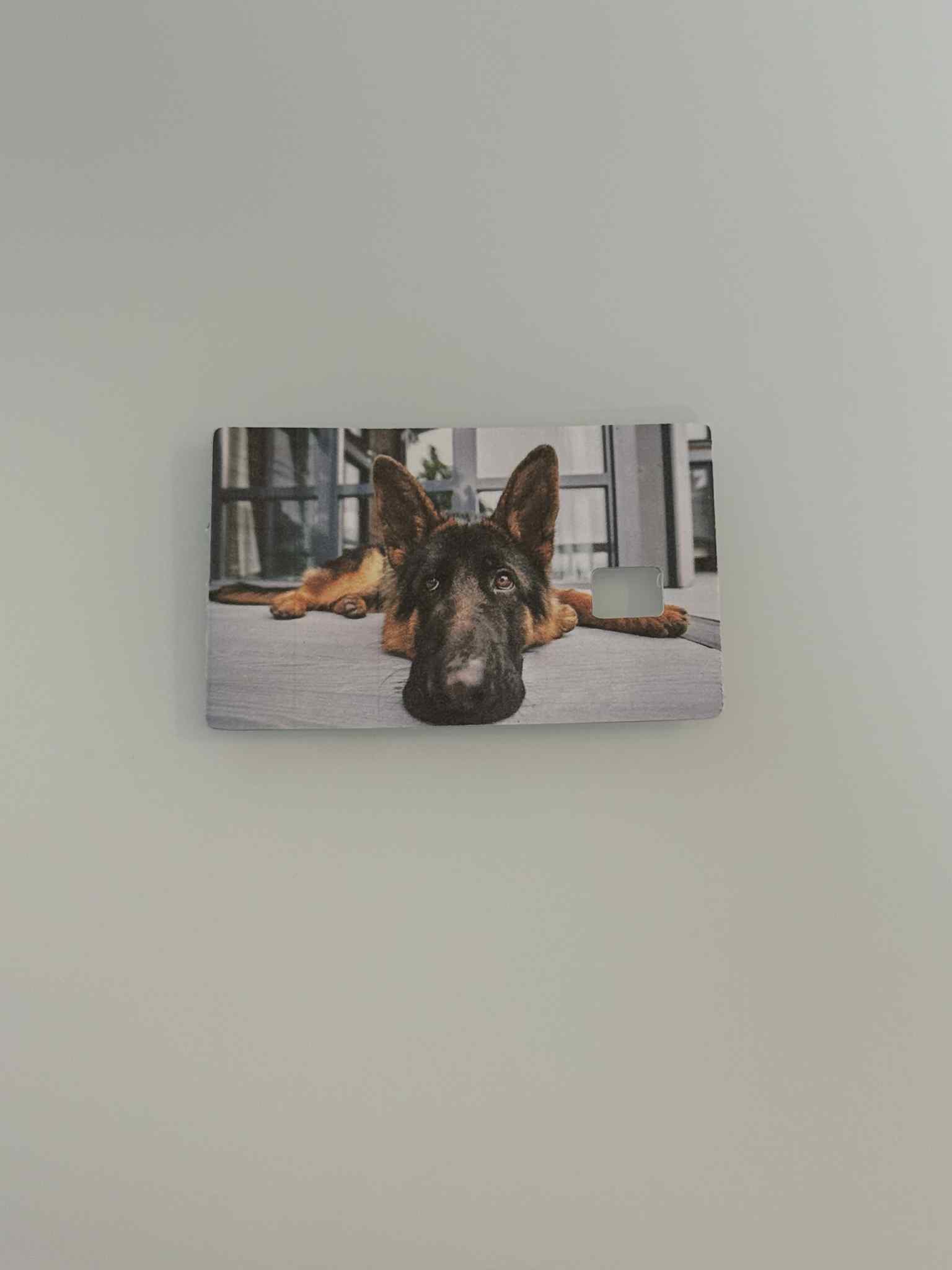 Animal Credit Card Stickers