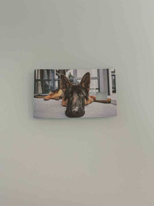 Animal Credit Card Stickers