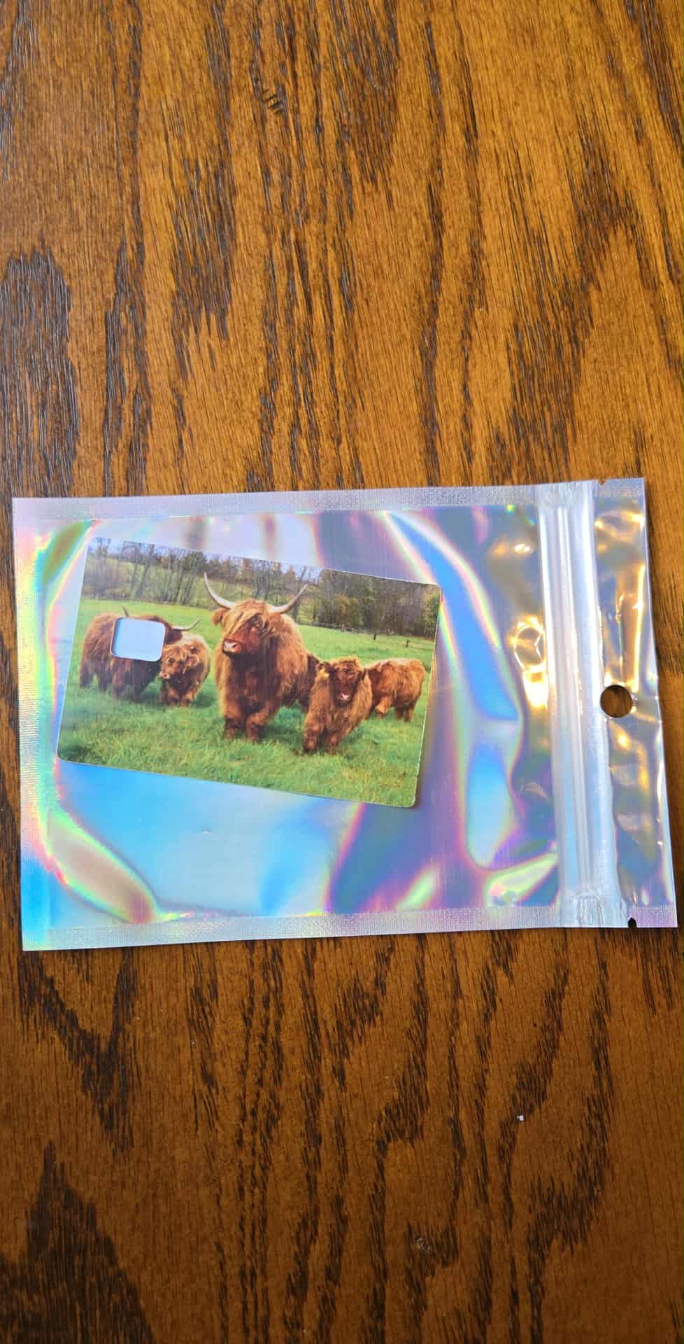 Animal Credit Card Stickers